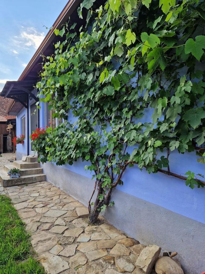 Floresti House 21 Roandola Exterior photo